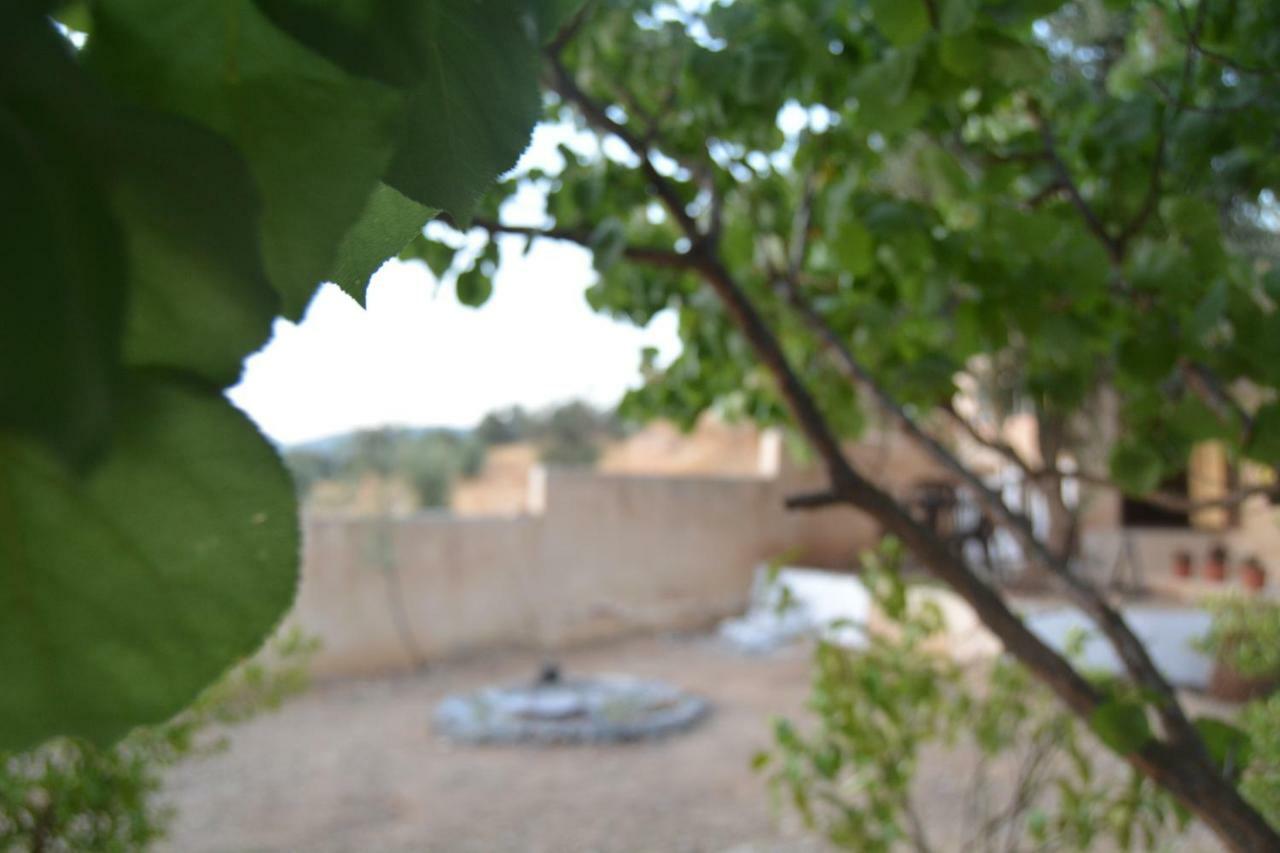 Our Villa'S Private Apartments - Hq Budget Stay - Wonderful Horizon View Of Jerash Джараш Экстерьер фото